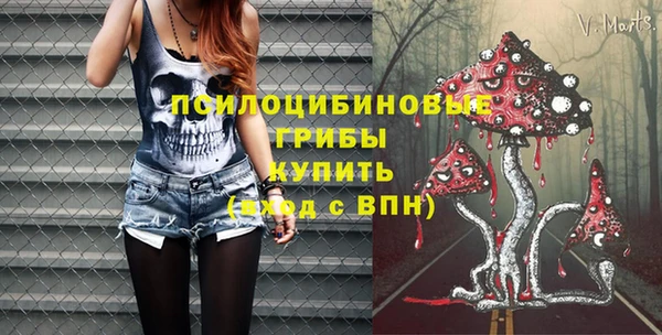 ПСИЛОЦИБИНОВЫЕ ГРИБЫ Кукмор