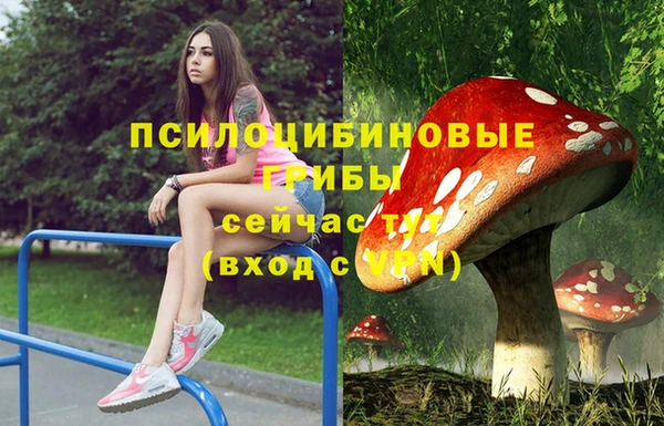 ПСИЛОЦИБИНОВЫЕ ГРИБЫ Кукмор