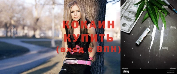 ПСИЛОЦИБИНОВЫЕ ГРИБЫ Кукмор