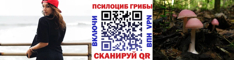 продажа наркотиков  Щучье  Галлюциногенные грибы ЛСД 